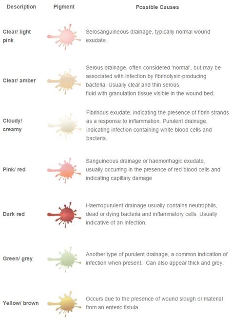 Types Of Wound Drainage