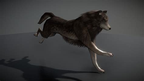 Wolf with Animations - Download Free 3D model by 3DHaupt (@dennish2010 ...