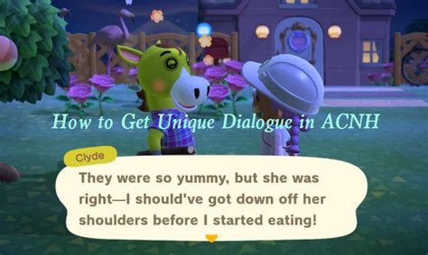 How to Get Rare Villager Dialogue in ACNH - Do Animal Crossing Villagers Have Unique Dialogue