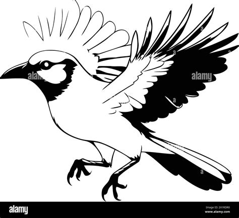 Bird with its beak open Stock Vector Images - Alamy