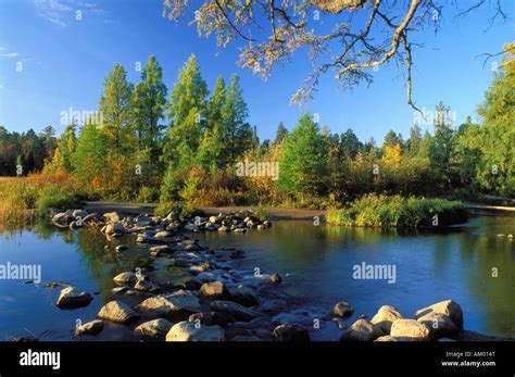 Mississippi River Source at Lake Itasca State Park Minnesota Stock ...