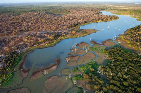 Safari to Selous Game Reserve | Eden tours and travel