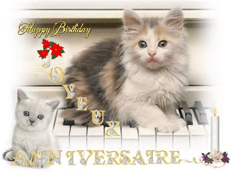 Carte De Voeux Anniversaire Chat | nanaryuliaortega site