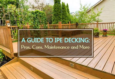 A Guide to Ipe Decking: Pros, Cons, Maintenance and More - Household Advice