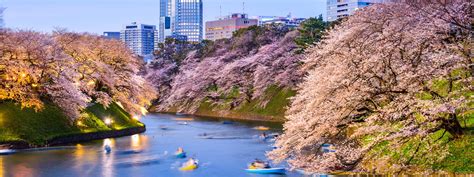 How & Where to Make the Most of Sakura Season | Travelleaders.com