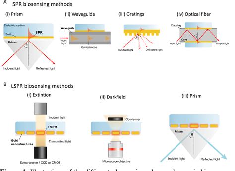 Figure 1 from Label-free Plasmonic Biosensors for Point-of-Care ...