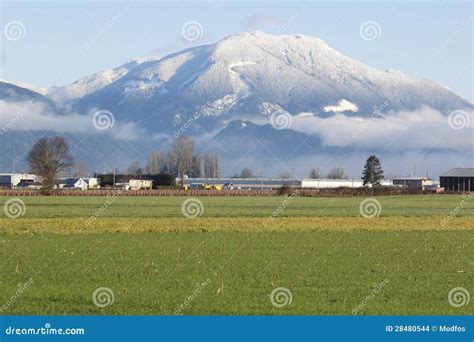 Montanha de Sumas foto de stock. Imagem de unido, neve - 28480544