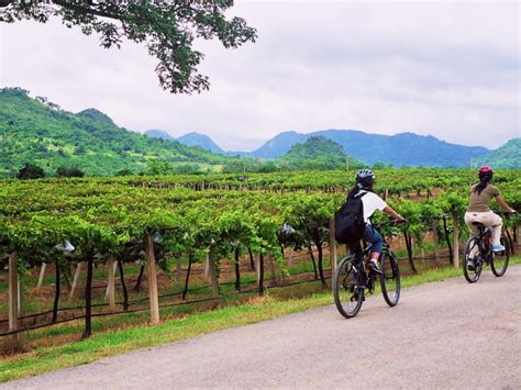 Khao Yai Wine Trails Overnight Cycling Tour from Bangkok with Wine Tasting tours, activities ...