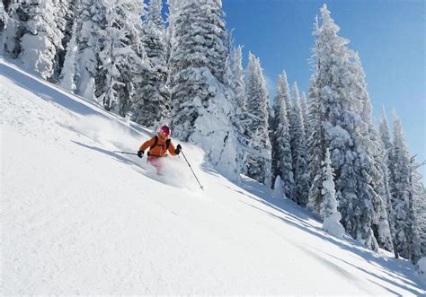 Cat Skiing | Snowcat Skiing Info & Reviews