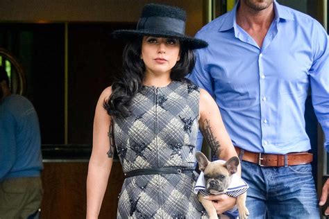 Lady Gaga says she's sick over stolen dogs, offers reward | EW.com