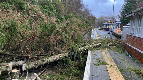 Power restored in Dumfries and Galloway after Storm Jocelyn damage | ITV News Border