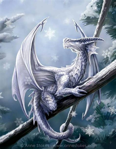 Snow Dragon Snow Dragon, Fairy Dragon, Magical Creatures, Fantasy Creatures, Fantasy World ...