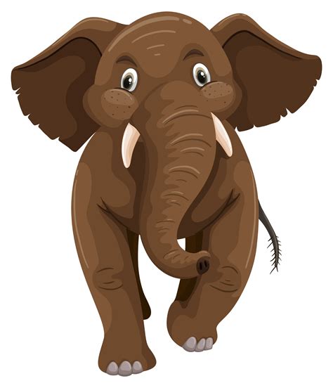 Baby elephant with brown skin 303200 Vector Art at Vecteezy