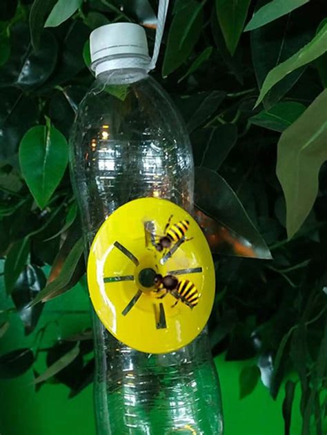 6Pcs Asian Giant Hornet Trap, Micro Wasp, Asian Giant Hornet Trap, Wasp ...