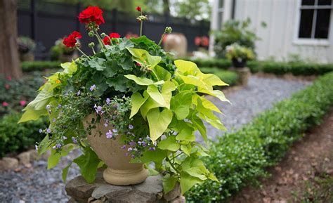 Container Garden Ideas - The Home Depot