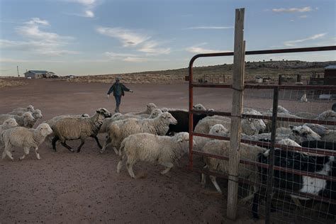 The Navajo Nation's Lack of Clean Water Has Fueled a COVID-19 Crisis