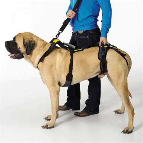 Help'EmUp Harness from K9 Mobility - CAM Online Shop