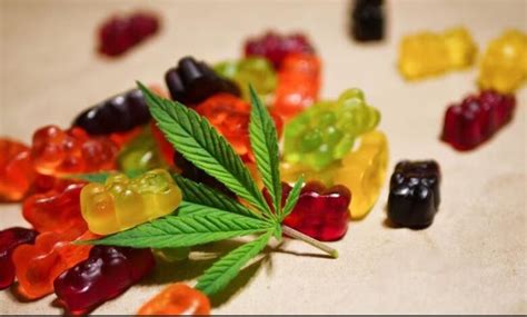 HHC Gummies: Uses, Benefits, and Risks - Manometcurrent