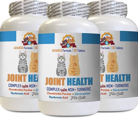 Amazon.com : cat Joint Supplements - Cats Turmeric Joint Health Complex ...