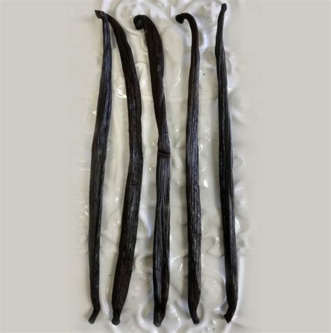 Vanilla Beans Whole (2 beans per package) - Southern New England Spice ...