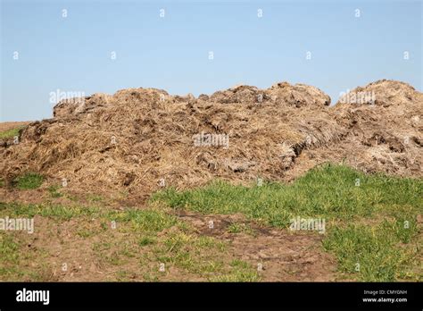 Animal dung hi-res stock photography and images - Alamy