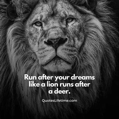 150+ Lion Quotes And Sayings With Images For Motivation