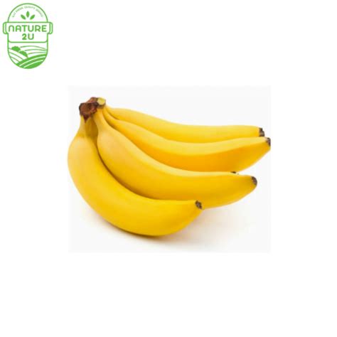 Banana Cavendish | Banana Montel - Nature2U