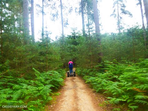 school summer holiday activity high lodge thetford forest segway adventure go ape review-12 | My ...