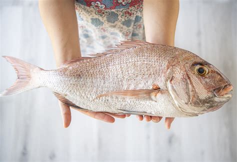 Red Sea Bream : King of Fish — THE SETOUCHI COOKBOOK