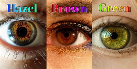 The Color Of Your Eyes Is The Mirror Of Your Personality | Amazing Facts, Knowledge and Jokes