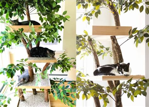 Ready-to-Assemble Real Wood Cat Tree Kits