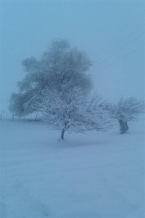 a snow covered field with trees and power lines in the distance on a ...