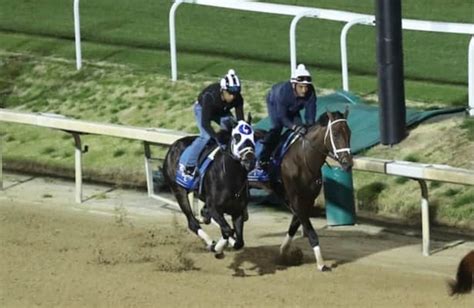 Kentucky Oaks 2023: Odds and full-field analysis