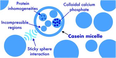 Casein micelles in milk as sticky spheres - Soft Matter (RSC Publishing)