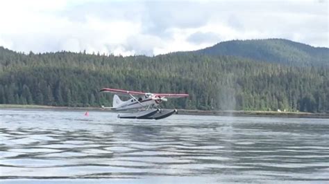 Seaplane almost lands on whale - CNN