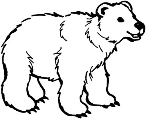 B is for Bear Coloring Page - NetArt