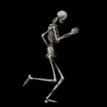 Skeleton Meme Gif - IceGif