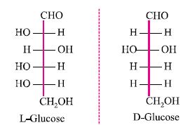 The Fischer projection of D-glucose is : - Sarthaks eConnect | Largest Online Education Community