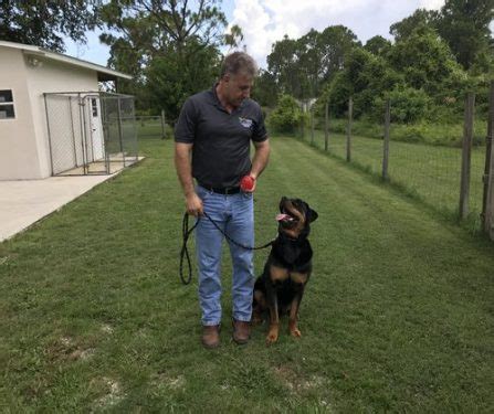 Rottweiler Training Advice, Southwest k-9 Academy