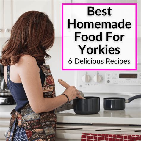 Best Homemade Food For Yorkies (6 Delicious Recipes)