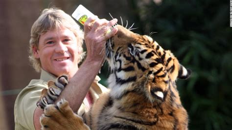 Tiger attacks keeper at Steve Irwin's Australia Zoo - CNN.com