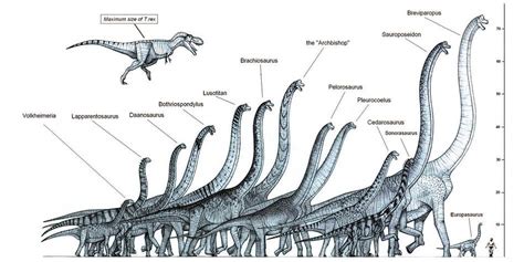 The heaviest dinosaurs - Top 10 | DinoAnimals.com - Part 104