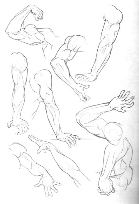 Sketch Dump: Arms by Bambs79 on deviantART | Figure drawing reference, Sketches, Realistic drawings