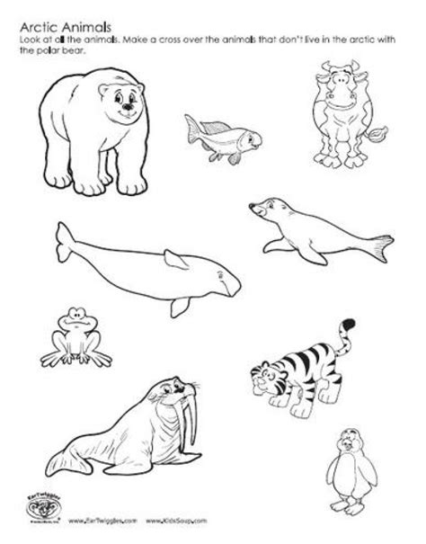 Arctic Animals Coloring Pages at GetColorings.com | Free printable colorings pages to print and ...