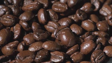 Slow motion of roasted coffee beans falling. Organic coffee seeds. 39950195 Stock Video at Vecteezy