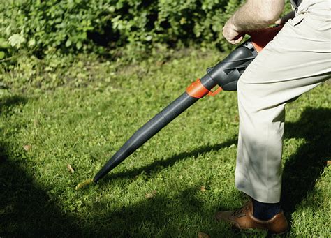 leaf blower noise decibels pollution : Biological Science Picture ...