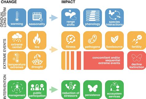 Entomologists issue warning about effects of climate change on insects