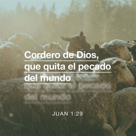 Juan 1:29 Al día siguiente vio* a Jesús que venía hacia él, y dijo*: He ahí el Cordero de Dios ...