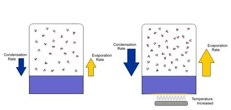 Evaporation Rates, Condensation Rates, and Relative Humidity (2023)