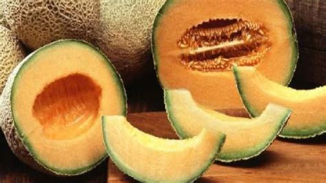 Benefits of Musk Melon: ফাটাফাটি ফল, ফুটি - Bengali News | Health ...